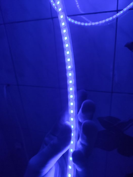 Синій неон гелевий, led стрічка