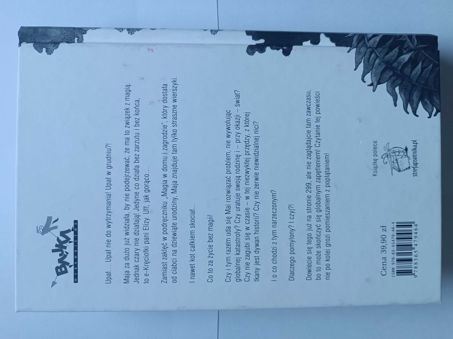 Książka "Pomylony narzeczony"