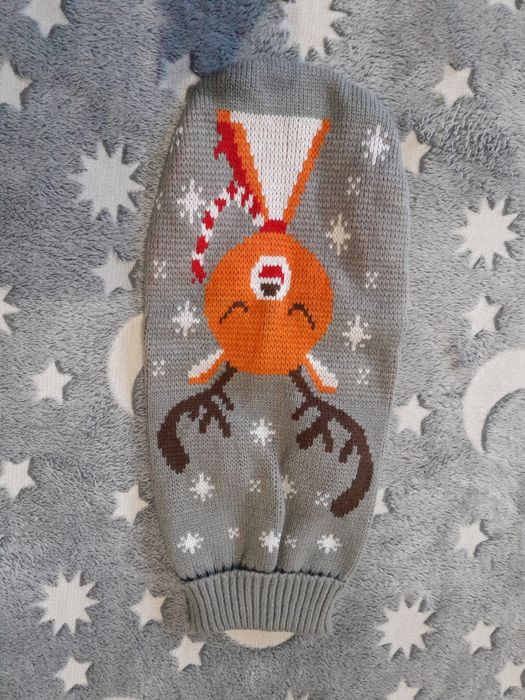 Одяг для улюбленця