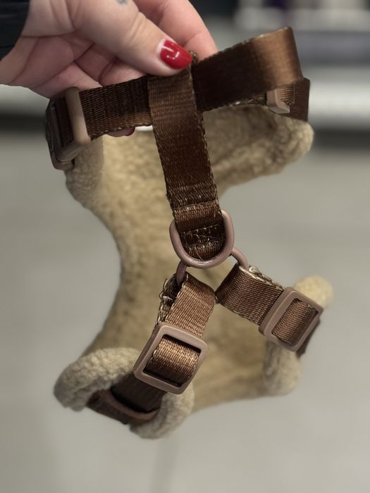 Шлеї cocopup для песика