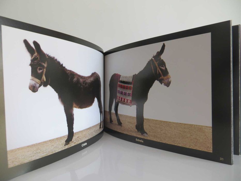 Hardware+Software=Burros