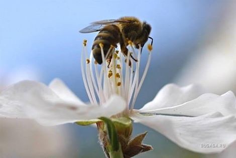 Лікування Гірудо- Рефлексотерапія Відпочинок (Лікар Дяків О.Б.)