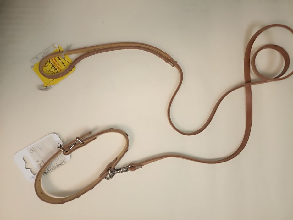 Поводок с ошейником COLLAR