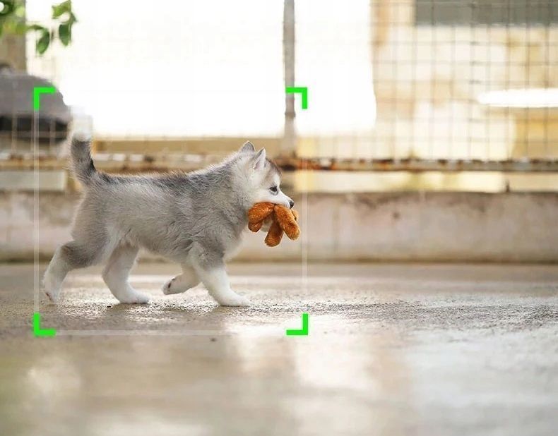 Automatyczny uchwyt na telefon śledzący Apai Genie