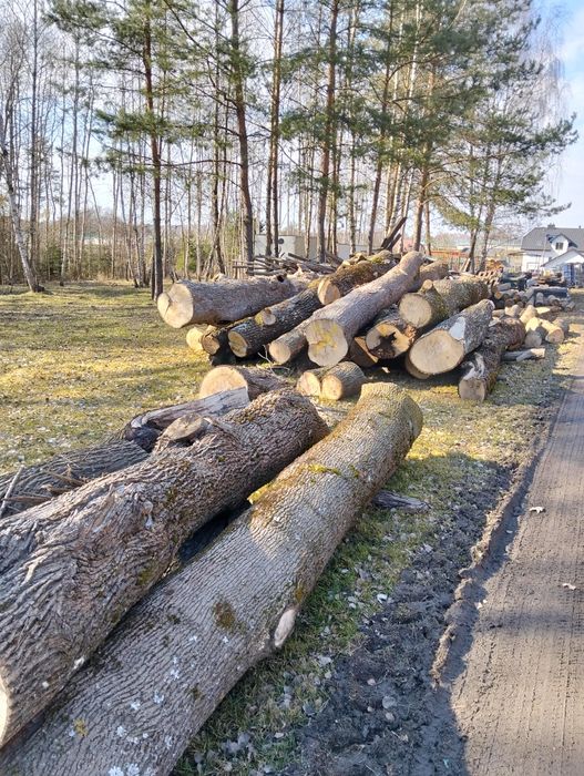Drzewo klonu opal deski kantowki