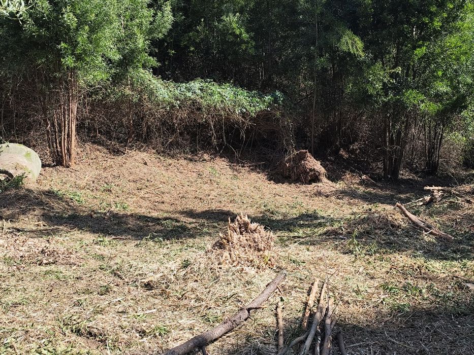 Limpezas de terrenos