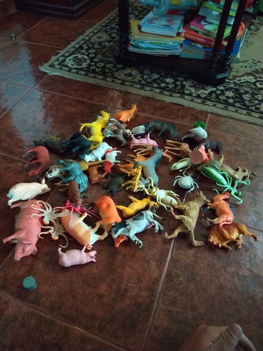 Animais.            .