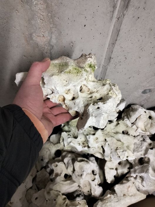 Wapień filipiński - 25 kg