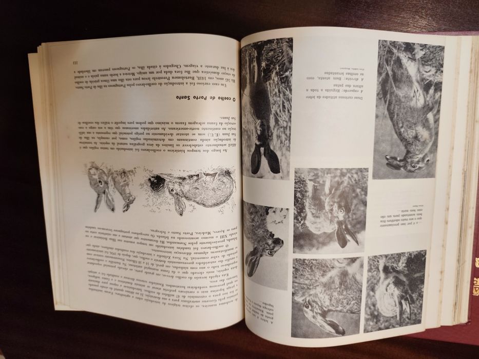 A caça Portuguesa ( 2 volumes )