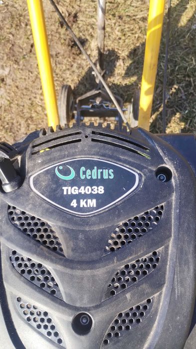 Sprzedam glebogryzarkę cedrus