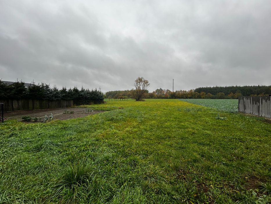 Dom wolnostojący z działką Szerominek ulica Środkowa Płońsk • OLX.pl