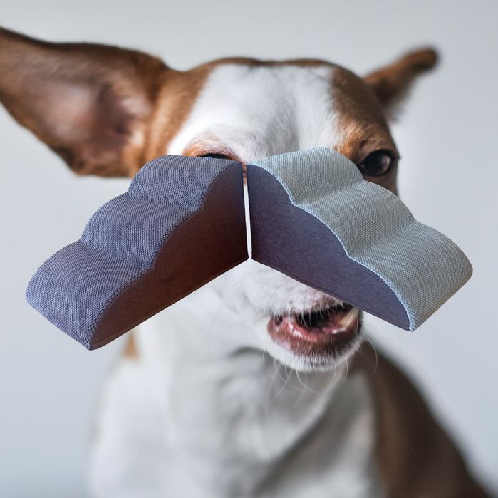 Сходинки для тварин, лесенка для собак і котів, драбинка для тварин