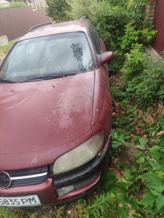 tank 300 - Легкові автомобілі - OLX.ua