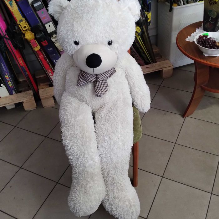 Ładny duży miś / Zachęcam do zakupu /