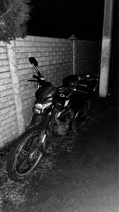 Мустанг фортуна 200