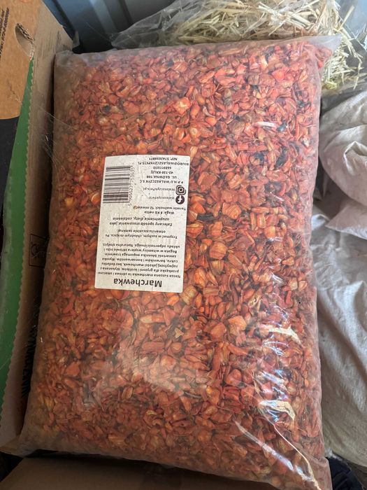 Marchew 8 kg dla gryzoni