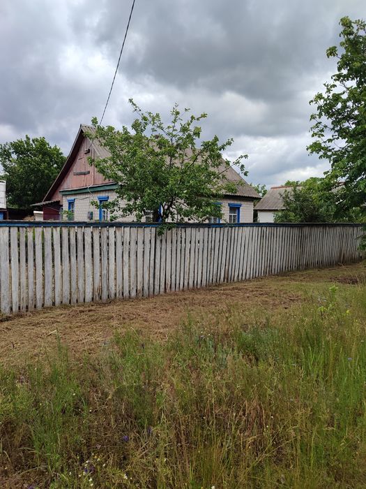 Продаж будинку з великою земельною ділянкою с. Новоселиця.