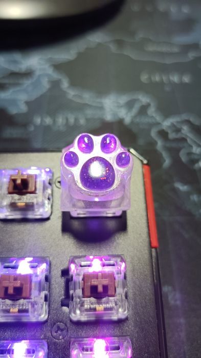 Keycap kitty kot koci z kotem