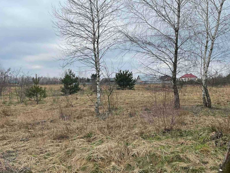 Земельна ділянка 25 сот. с. Замочок