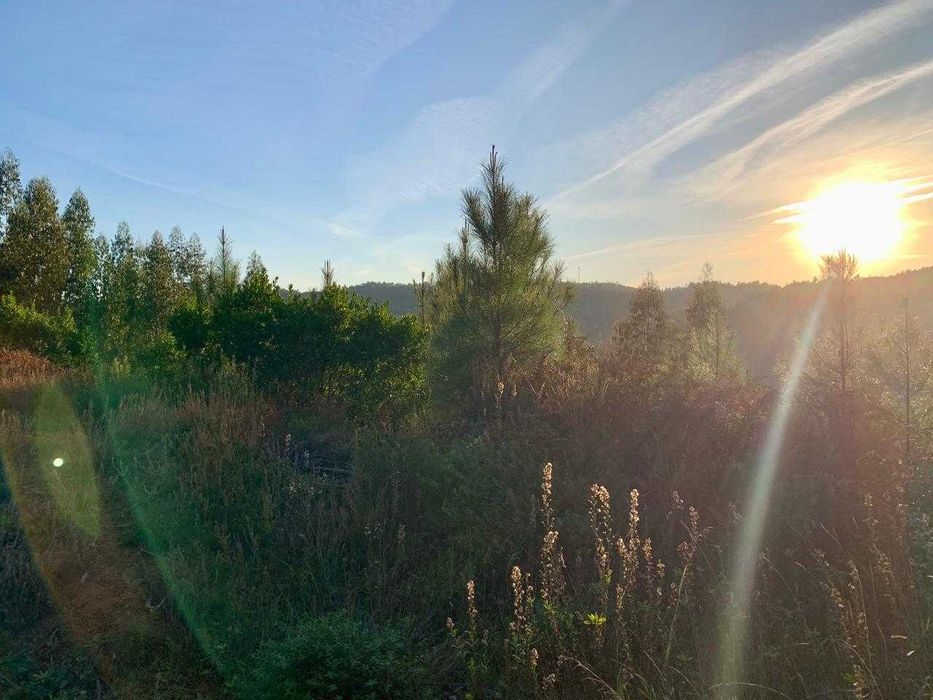 2 terrenos juntos       290m de margem de estrada nacional 344