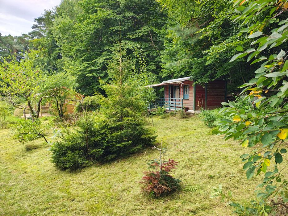 Piękna działka ROD przy lesie 395 m2 Sopot Mickiewicza