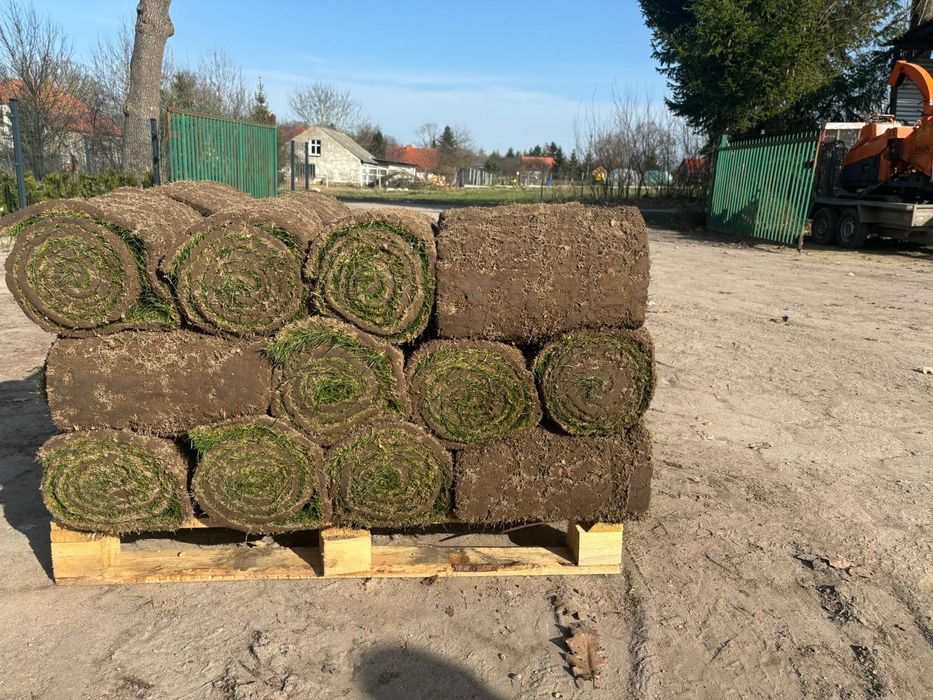 Trawa z rolki, trawnik w rolce 40m2