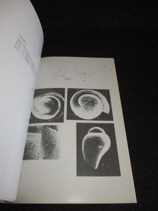 Livros Publicações Ocasionais da Sociedade Portuguesa de Malacologia