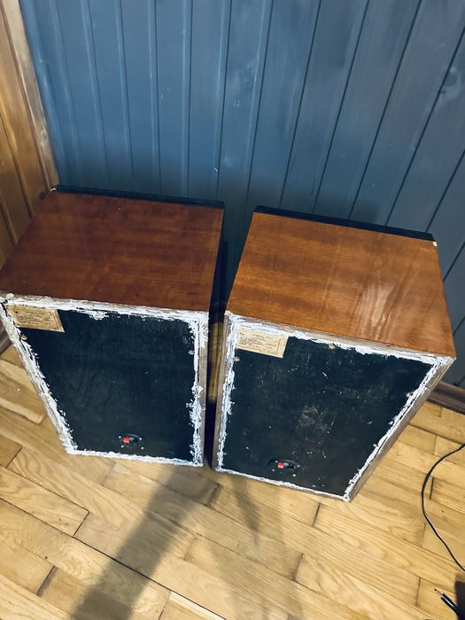 25 АС-309 акустична система