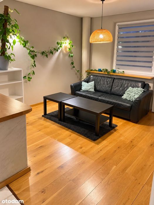Mieszkanie w samym centrum Sosnowca | Balkon | Bez prowizji