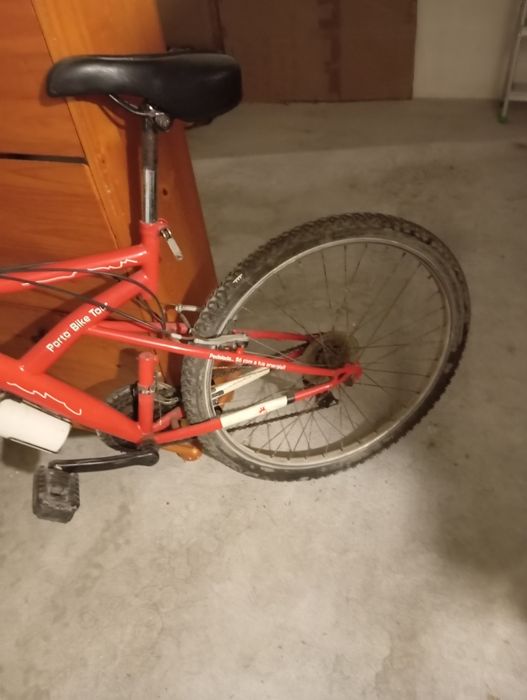 Bicicleta roda24