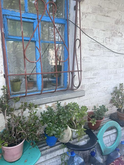 Продам дом со всеми условиями в доме возле Заречного Новомайское