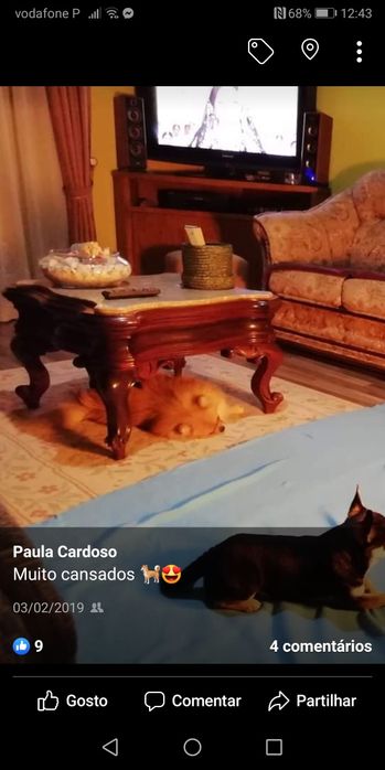 Marble-Top Coffee Table64741032907139120