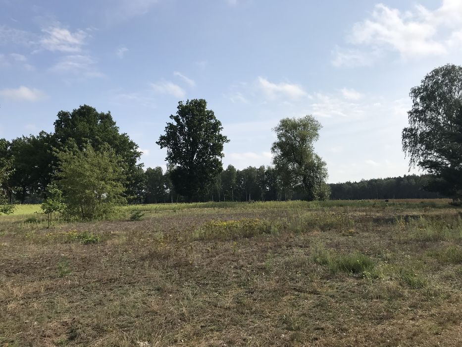 Działki Aleksandria z wydanymi WZ - Widok 6