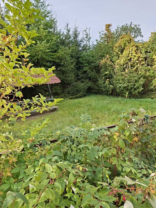 Sklep z działką w miejscowości Upadły - Więcej