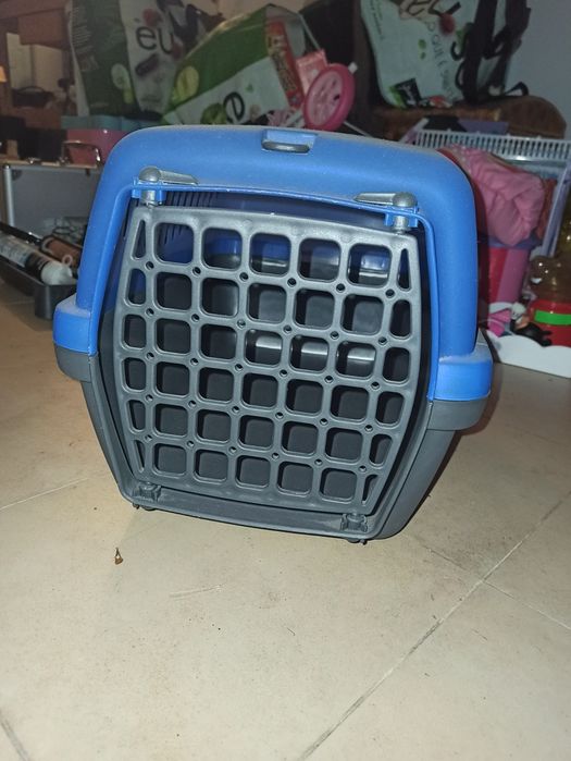 Caixa de transporte coêlho