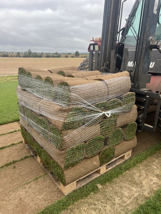 Relva Natural em tapete