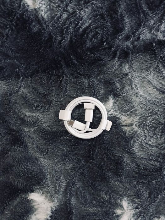 iPhone 15 Pro Max 256GB Prateado – Excelente Estado + Extras