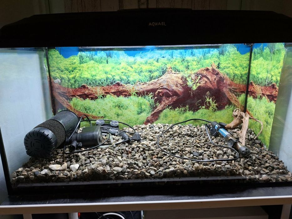 2 akwaria z wyposażeniem – 112L i 33L