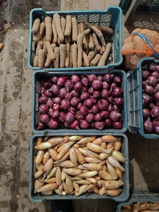 Sprzedaż detaliczna i hurtowa warzyw