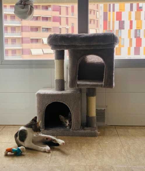 Drapak dla kota STABILNY 2xDOMEK duże legowisko słupek budka leżanka