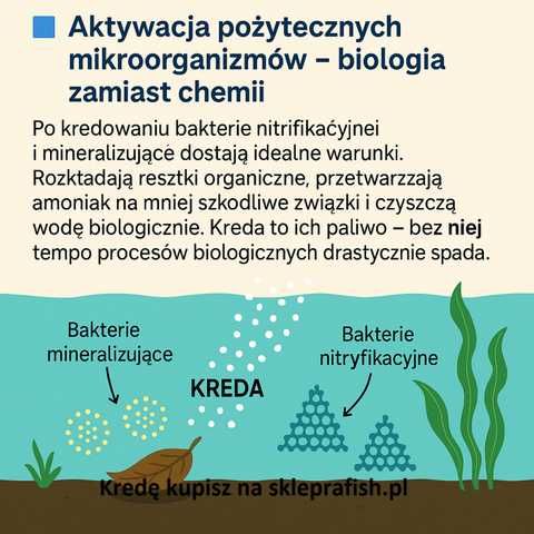 Kreda w pyle do stawu i oczka wodnego