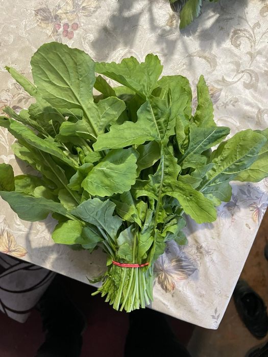 Продам Руккола вкус ореховый