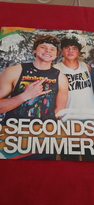 Poster Demi Lovato/5 Seconds of Summer, novo