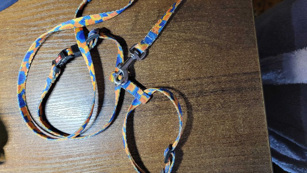 Шлейка з повідком  (поводок)для цуцика або маленької собачки