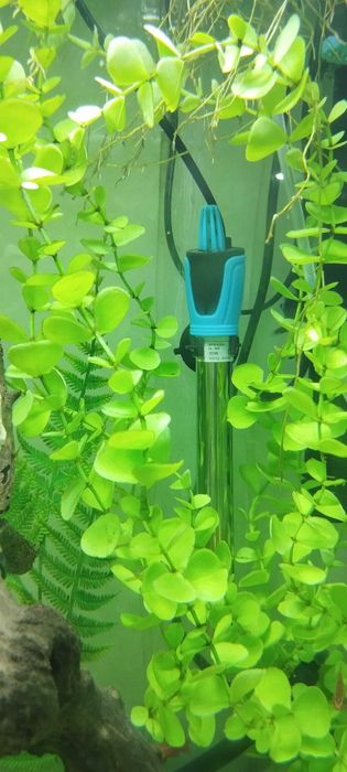 Aquario Completo para Natal!!!