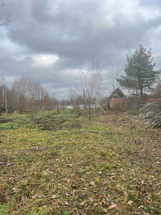 (5) Продаж ділянки в с.Некрасово 9793