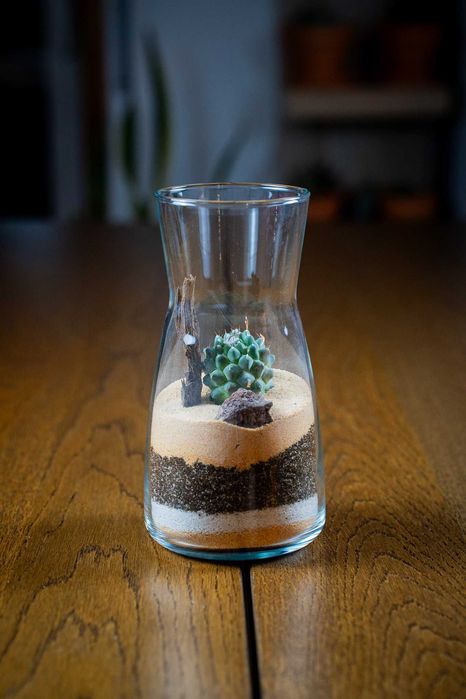 Mini terrário de cacto em jarra de vidro 20 cm – decoração / presente