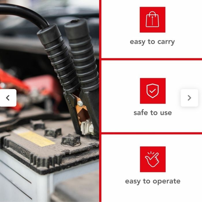 CHARGEUR POUR BATTERIE À ACIDE DE PLOMB - 12/24 V