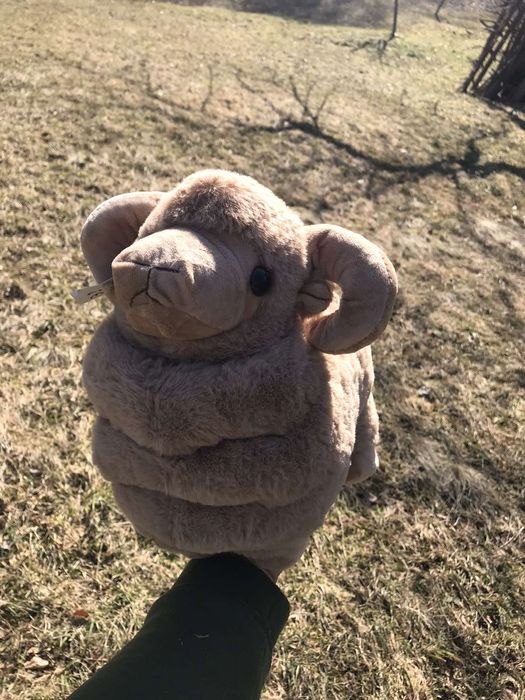 Топові м'які ігрушки