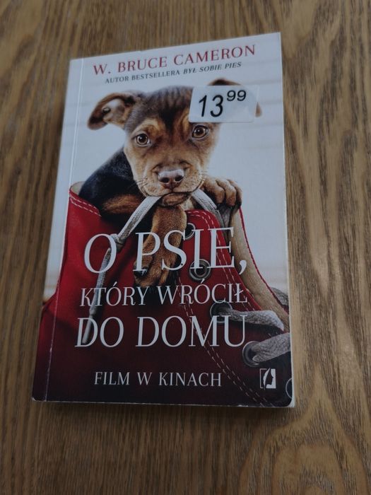 O psie który wrócił do domu